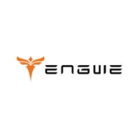 Engwe DE