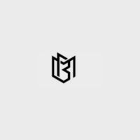 Magnetic Bag Company