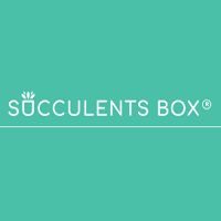 Succulents Box