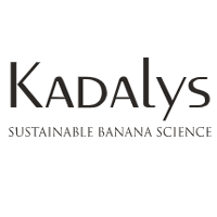Kadalys