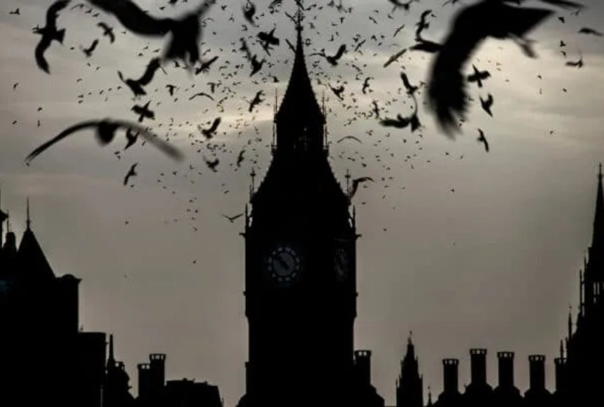 myoovi-cover-(1).jpg