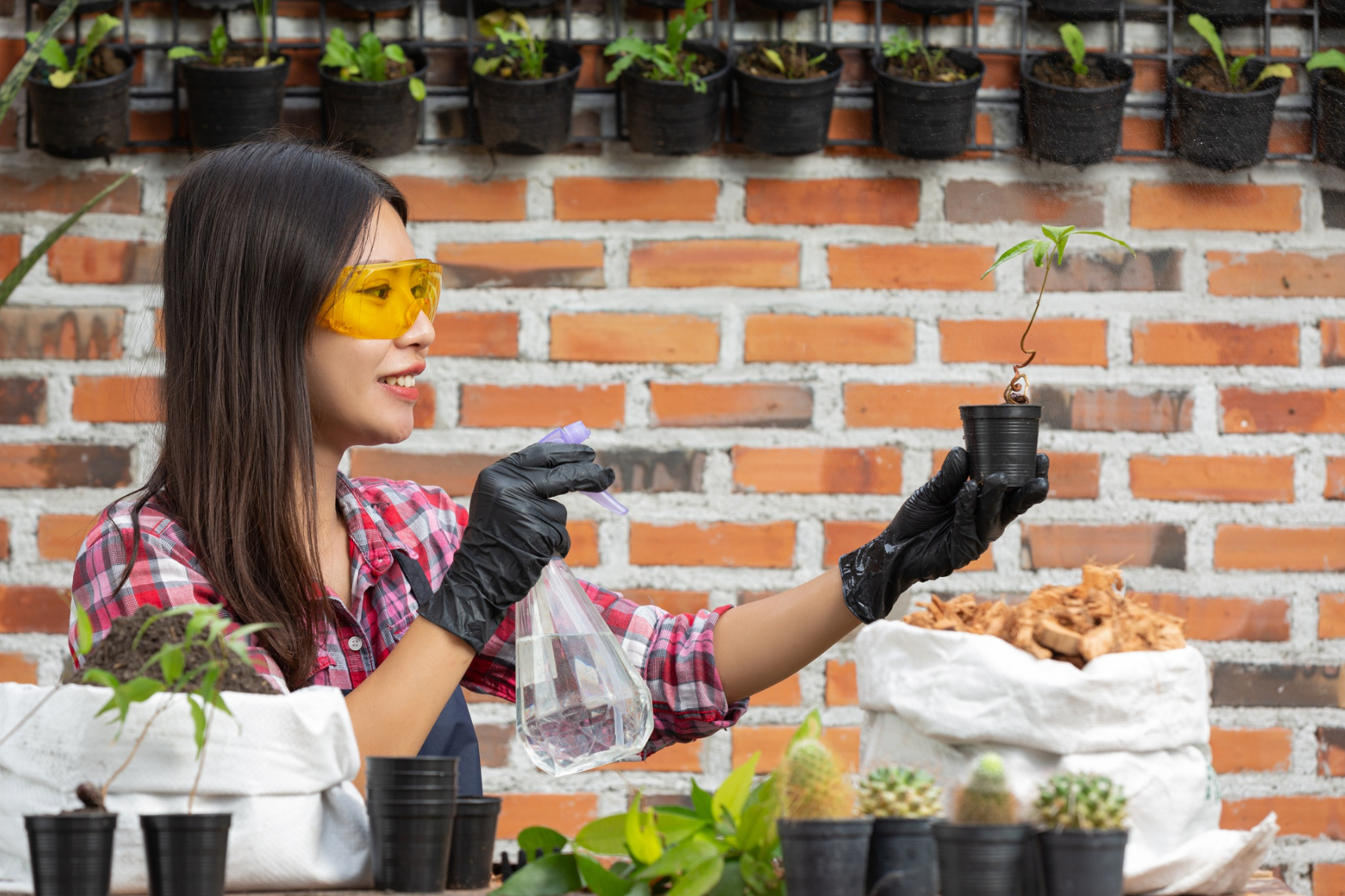 Mars Hydro Grow Lights Guide and Top Picks