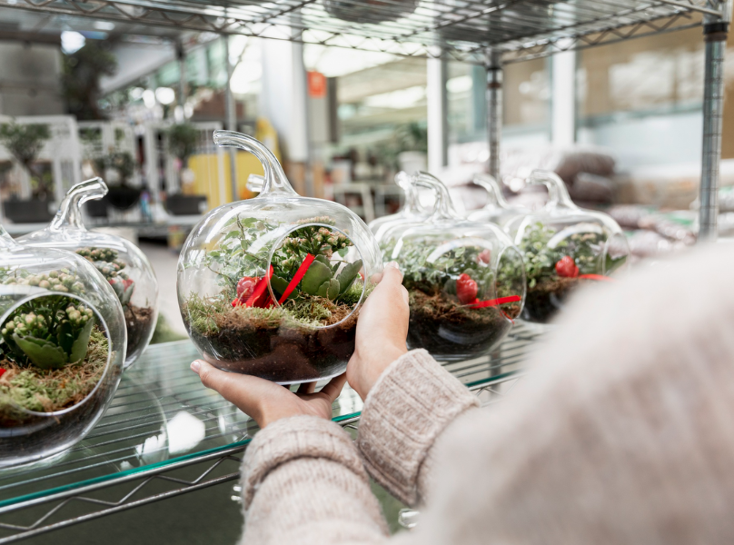 Mars Hydro Review: Best Indoor Growing Equipment