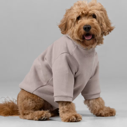 Signature Paw Hoodie