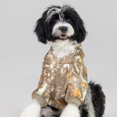 Camo Paw Hoodie