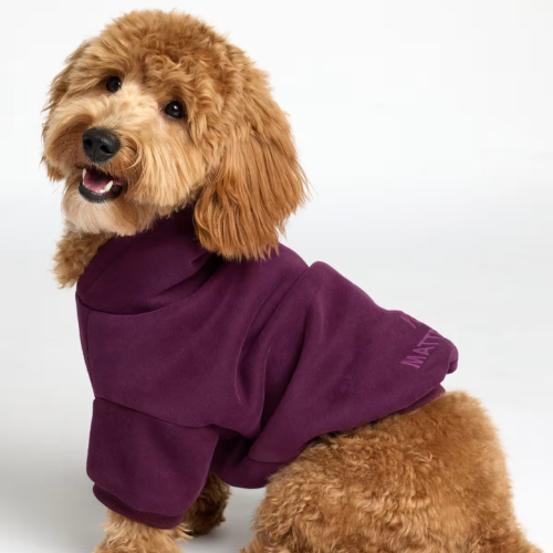 You Matter Paw Hoodie
