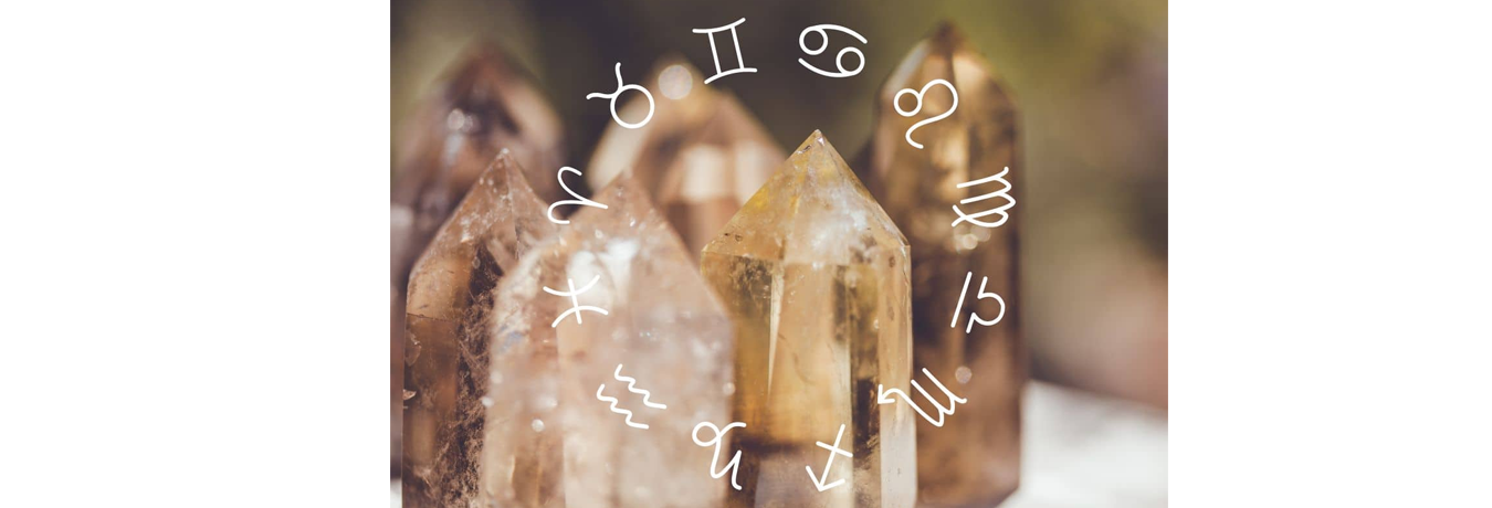 myoovi-cover-(1).jpg